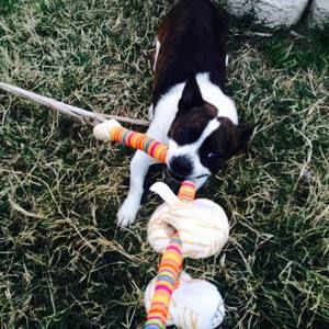 Meet your Posher, Andrea